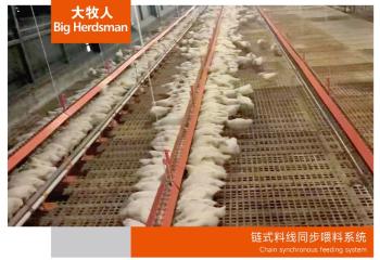 鏈式料線同步喂料系統(tǒng)