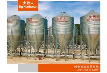 新型智能稱(chēng)重系統(tǒng)